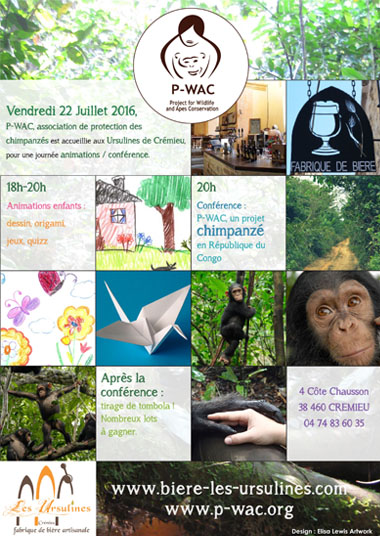 Affiche pour événement de l’association « P-WAC » qui œuvre pour la protection des grands singes en République Démocratique du Congo