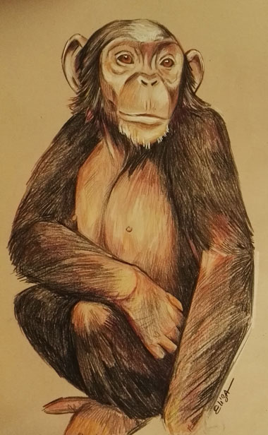 Portrait de Mongo, protégée de l’association « P-WAC ». Crayons de couleur sur papier Kraft – Vendu au profit de l’asso