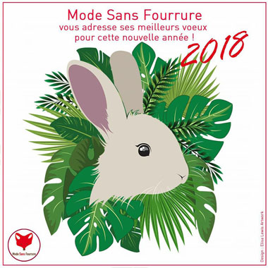 Illustration vectorielle (Illustrator) réalisée pour les vœux 2018 de l’association « Mode Sans Fourrure »