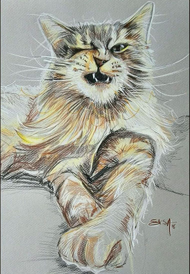 Portrait de Luna la chatte Maine Coon. Crayons de couleur sur papier teinté. Dispo. S’il vous interesse : contact@elisalewis.net