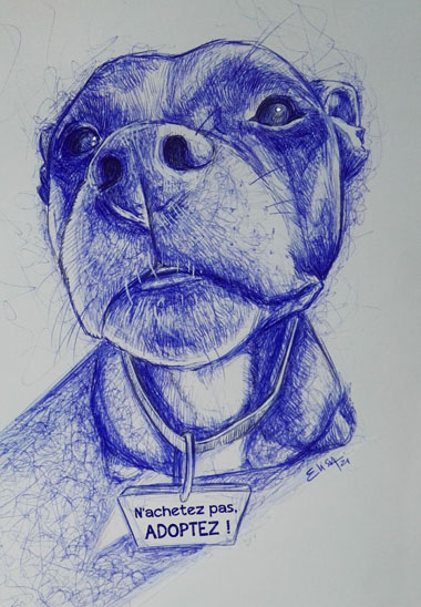 « N’achetez pas, adoptez » Portrait d’un chien au bic sur papier.